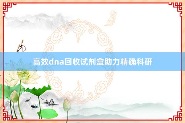 高效dna回收试剂盒助力精确科研