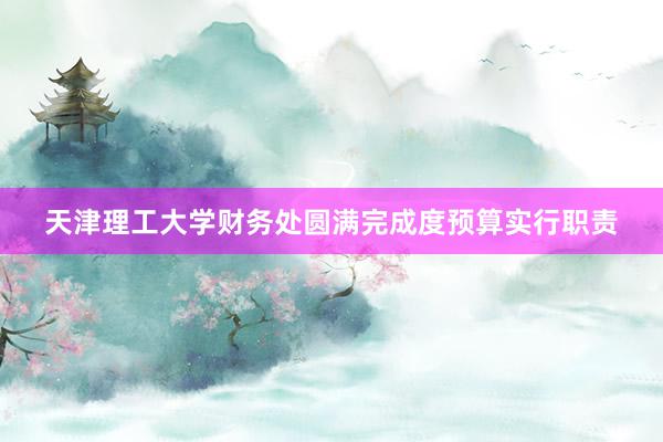 天津理工大学财务处圆满完成度预算实行职责